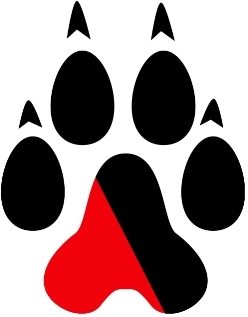 Northeastern Huskies 2007-Pres Alternate Logo iron on transfers for fabric